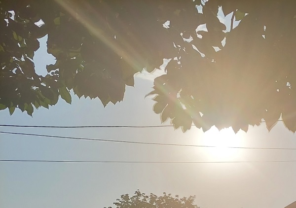 МИЛИЦА МАТОВИЋ