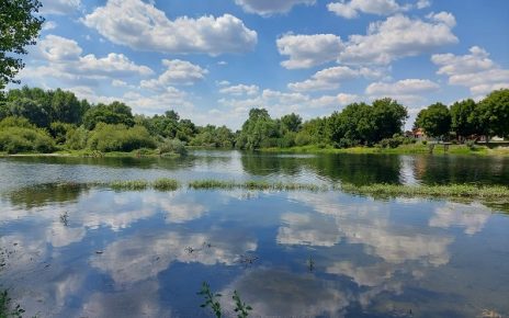 ЛЕТО, фото: Слађана Белић