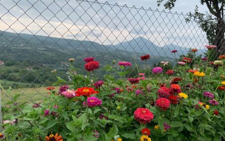 септембар Фото: Планинац