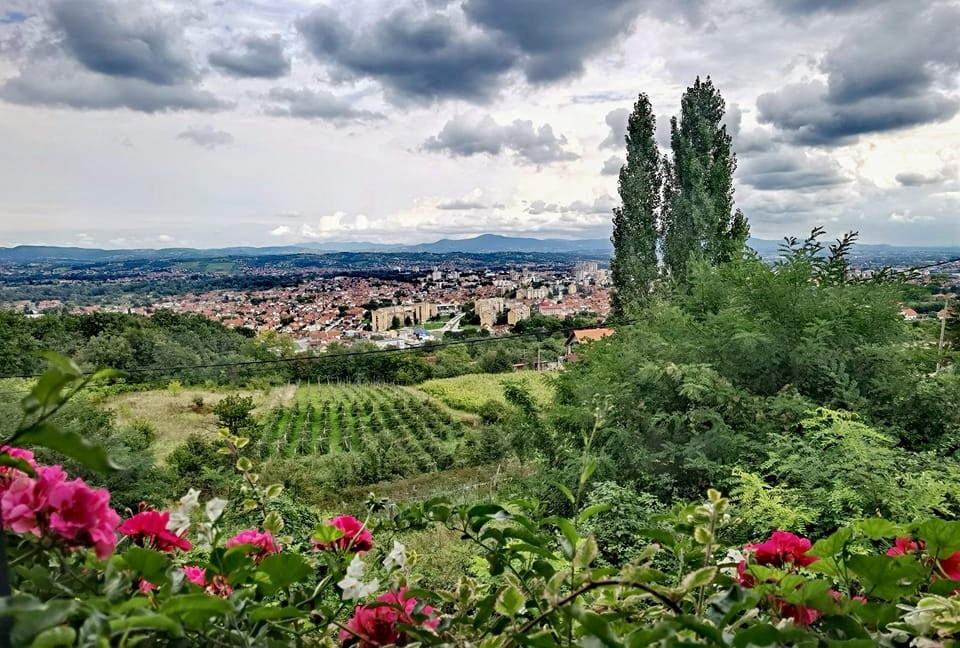 Фото: Зорица Милошевић, облачно