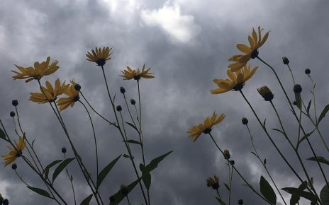 СЕПТЕМБАР, Фото: Милева С. Александрић
