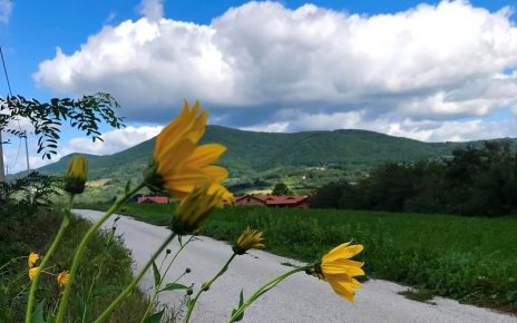 Септембар, Фото: Александра Мишић
