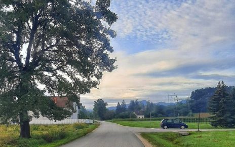 Фото: Дарка Симеуновић