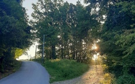 СЕПТЕМБАР, ФОТО: ДАРКА СИМЕУНОВИЋ