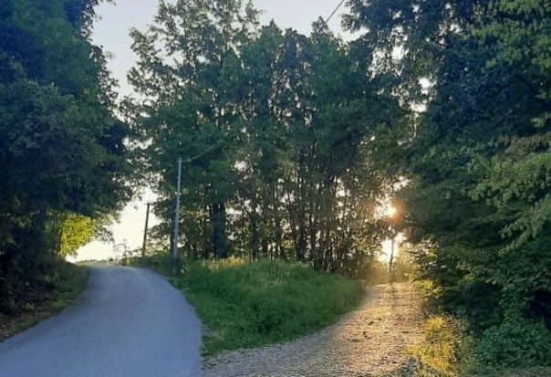 СЕПТЕМБАР, ФОТО: ДАРКА СИМЕУНОВИЋ