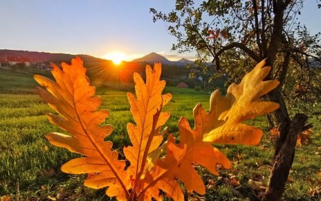 ФОТО: ВЕРОНИКА ВУКИЋЕВИЋ