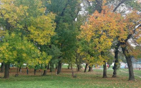 ЈЕСЕН, ФОТО: МИМА ЗИНДОВИЋ