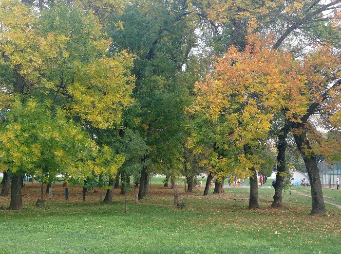 ЈЕСЕН, ФОТО: МИМА ЗИНДОВИЋ