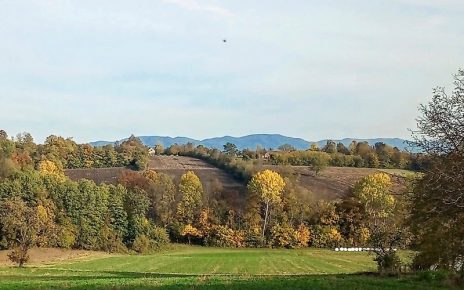 ЈЕСЕН, ФОТО: ДУБРАВКА МИЛОШЕВИЋ