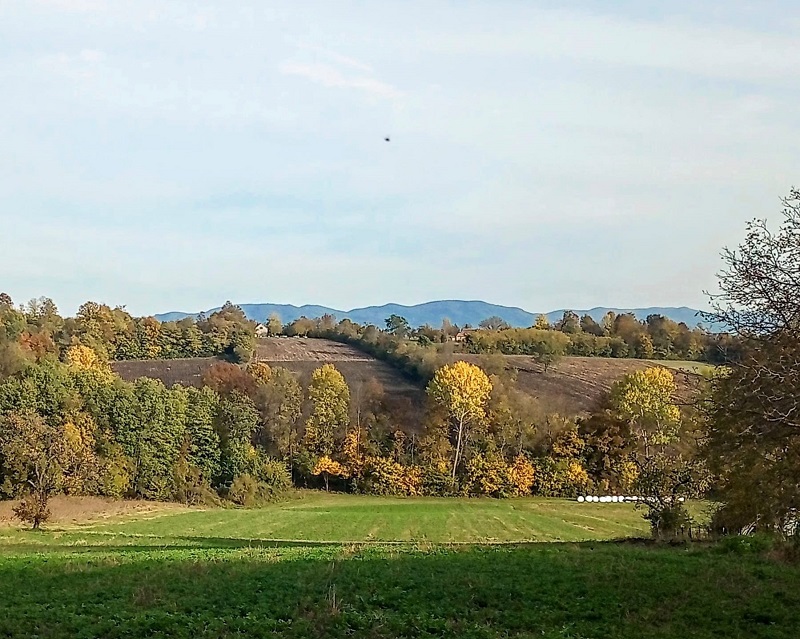 ЈЕСЕН, ФОТО: ДУБРАВКА МИЛОШЕВИЋ