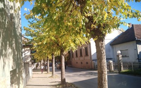 ЈЕСЕН, Братисалв Бежанић