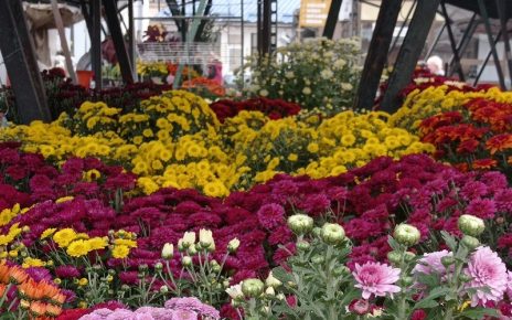 ФОТО: МИМА ЗИНДОВИЋ