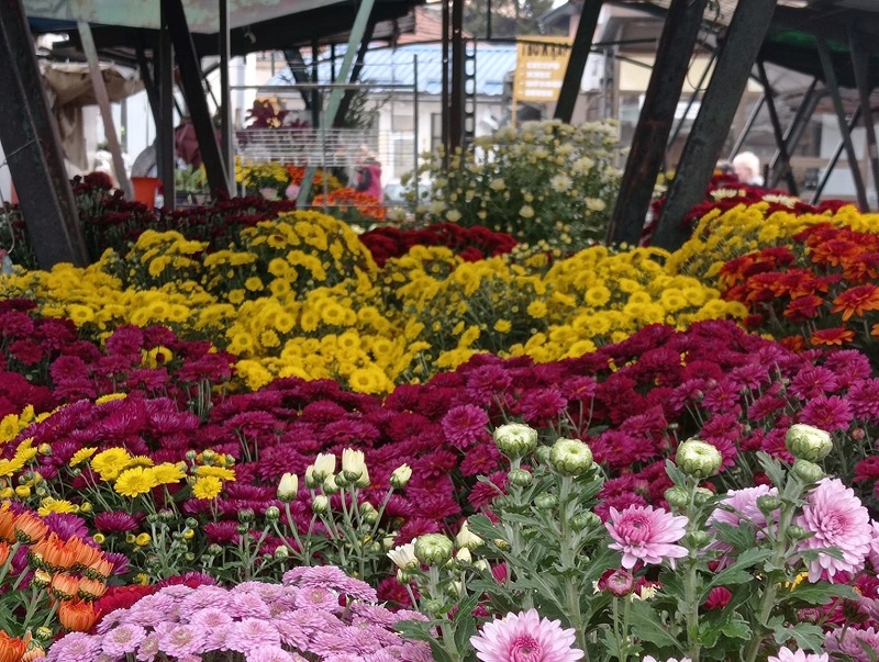 ФОТО: МИМА ЗИНДОВИЋ