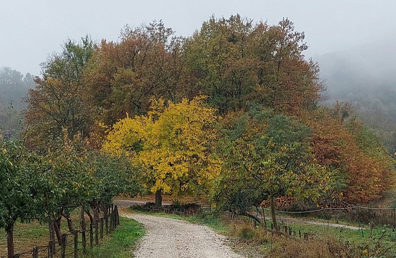 ЈЕСЕН, ФОТО: МИЛАН ЧАКАЈАЦ