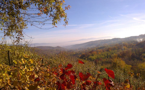 ЈЕСЕН, фото: Братислав Бежанић