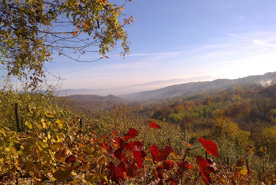 ЈЕСЕН, фото: Братислав Бежанић