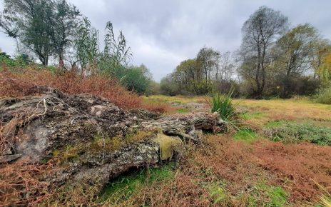ЈЕСЕН, ФОТО: ЗОРАН ЗИНДОВИЋ