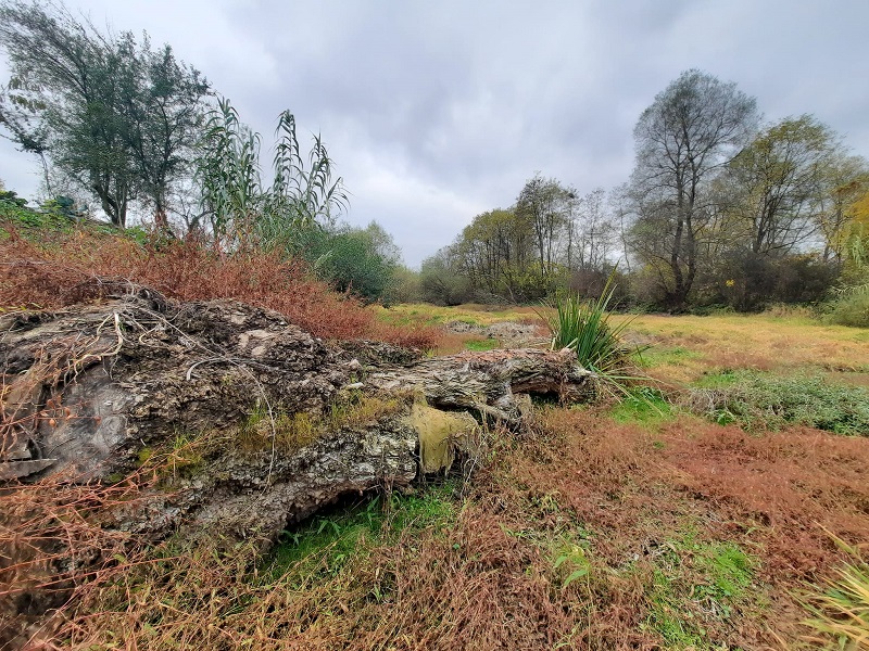 ЈЕСЕН, ФОТО: ЗОРАН ЗИНДОВИЋ
