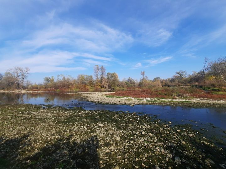 ЈЕСЕН, ФОТО: ЗОРАН ЗИНДОВИЋ
