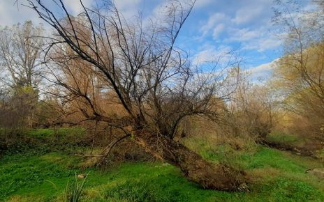 ЈЕСЕН, фото: Зоран Зиндовић