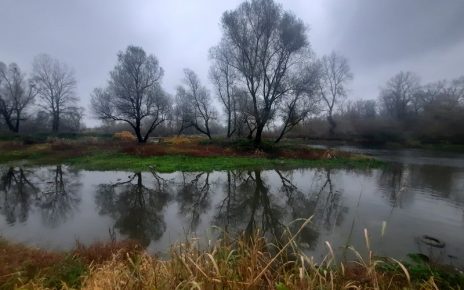 ЈЕСЕН Фото: Зоран Зиндовић