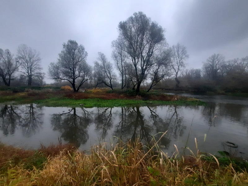 ЈЕСЕН Фото: Зоран Зиндовић