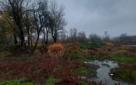 ЈЕСЕН, ФОТО: ЗОРАН ЗИНДОВИЋ