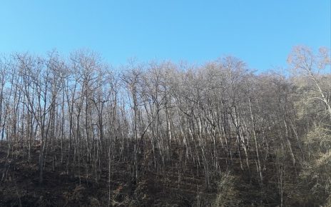 Зима, сунчан дан, фото: Г. Д.