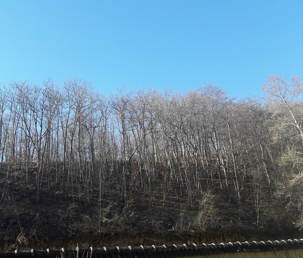 Зима, сунчан дан, фото: Г. Д.