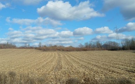 Зима, сунчан дан (фото: Г. Д.)