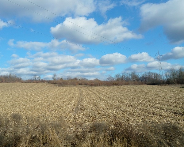 Зима, сунчан дан (фото: Г. Д.)