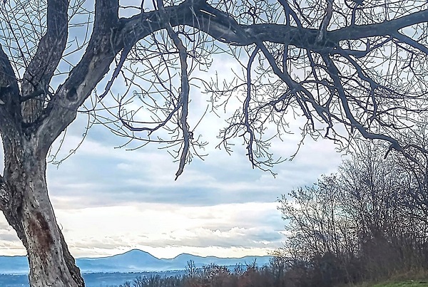 ЈАНУАР, фото: Дубравка Милошевић