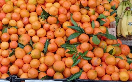 ПИЈАЦА ФОТО: МИМА ЗИНДОВИЋ