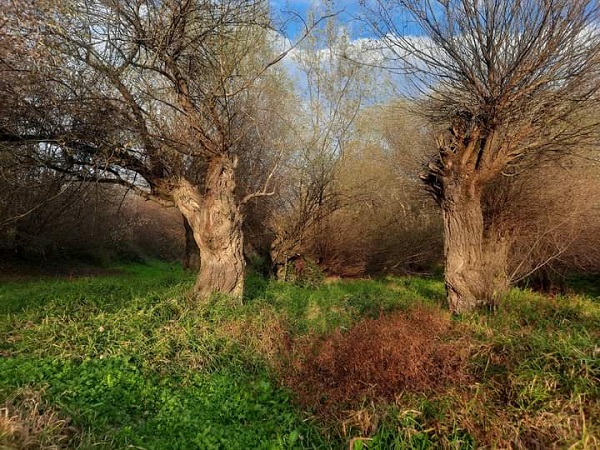 ЈЕСЕН, ФОТО: ЗОРАН ЗИНДОВИЋ