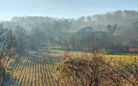 Пролећни први јануар, топло и наредних дана, фото: Дарка Симеуновић