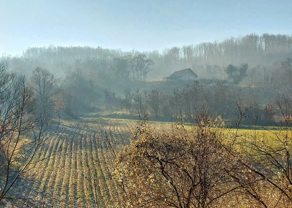 Пролећни први јануар, топло и наредних дана, фото: Дарка Симеуновић
