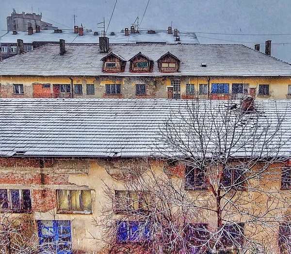 снег, дарка симеуновић