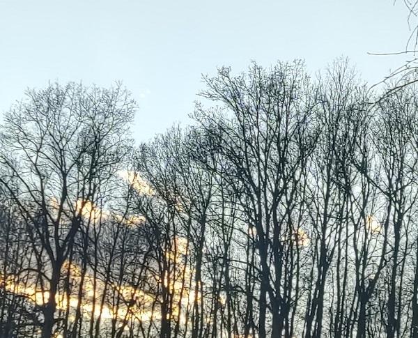 зима