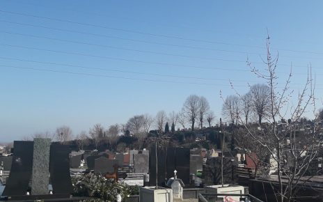 ГРОБЉЕ Фото: Г. Д.