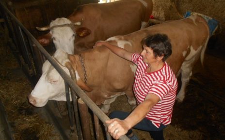 Снежана Мајсторовић из Жаочана, дугогодишњи произвођач млека