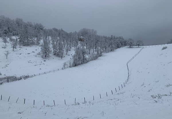 снег, Фото: Планинац