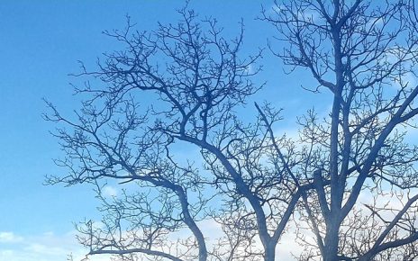 ЗИМА, СУНЧАНО, Фото: Г. Д.