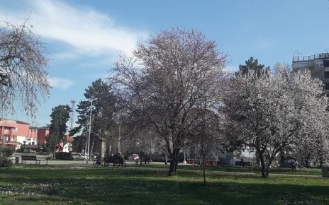 пролеће
