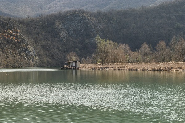 ПРОЛЕЋЕ, ФОТО: СЛАЂАНА БЕЛИЋ