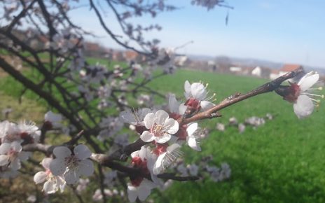 ПРОЛЕЋЕ, ФОТО: Г. Д.