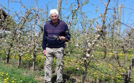 свето и пчеле