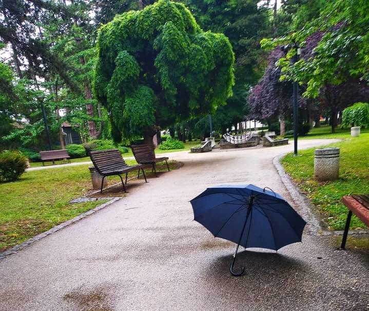 киша, слађана шутић