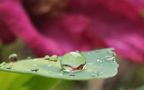 КИША, ЛЕТО, ФОТО: СЛАЂАНА БЕЛИЋ