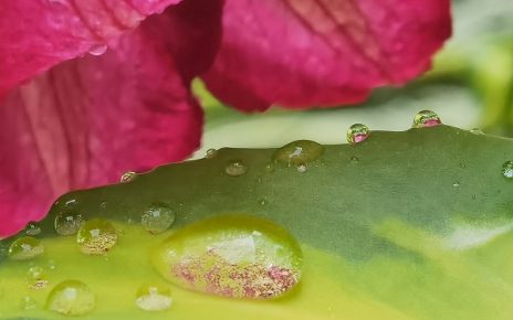 КИША, ФОТО: СЛАЂАНА БЕЛИЋ