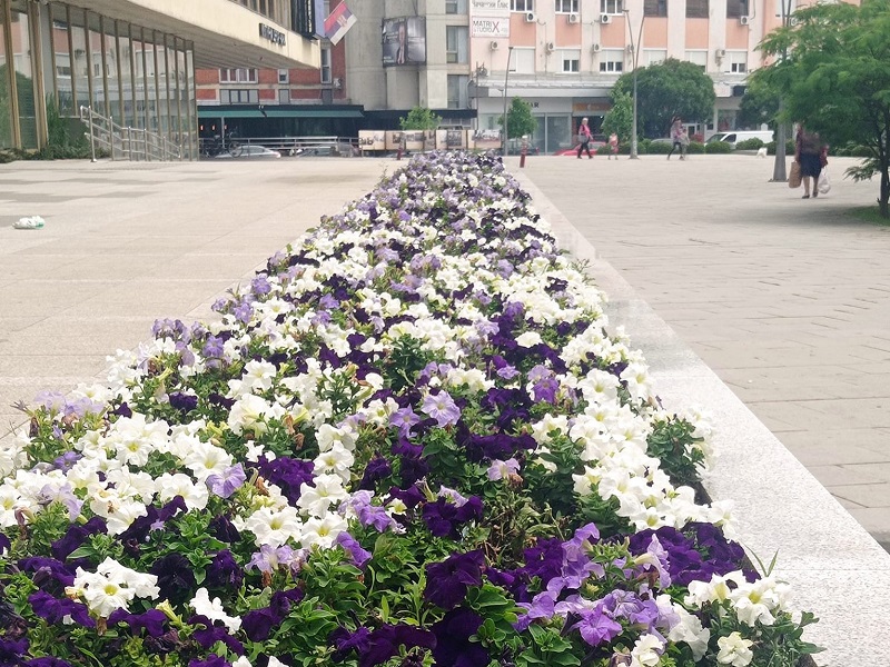 ФОТО: МИМА ЗИНДОВИЋ